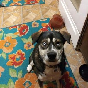 Meet your Posher, Audrey